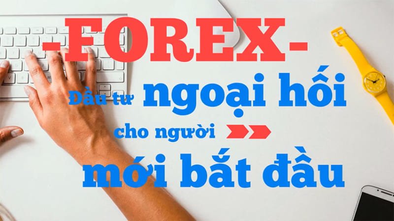 Đầu tư Forex cho người mới bắt đầu