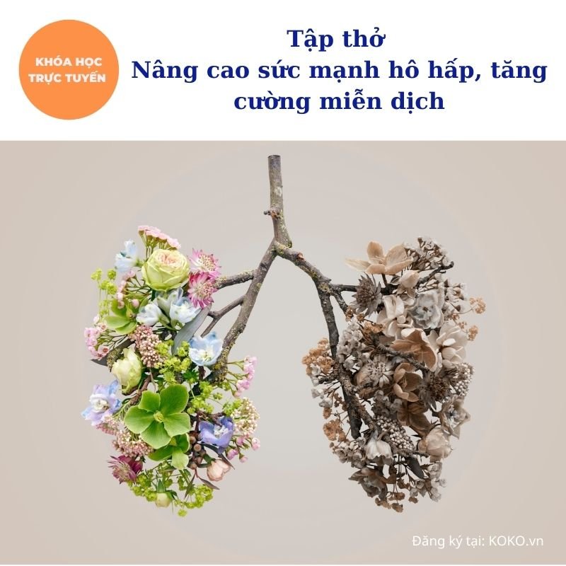 Tập thở - Nâng cao sức mạnh hô hấp, tăng cường miễn dịch