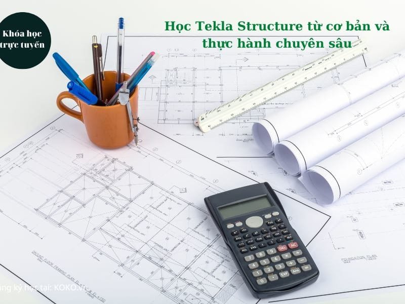 Học Tekla Structure từ cơ bản và thực hành chuyên sâu