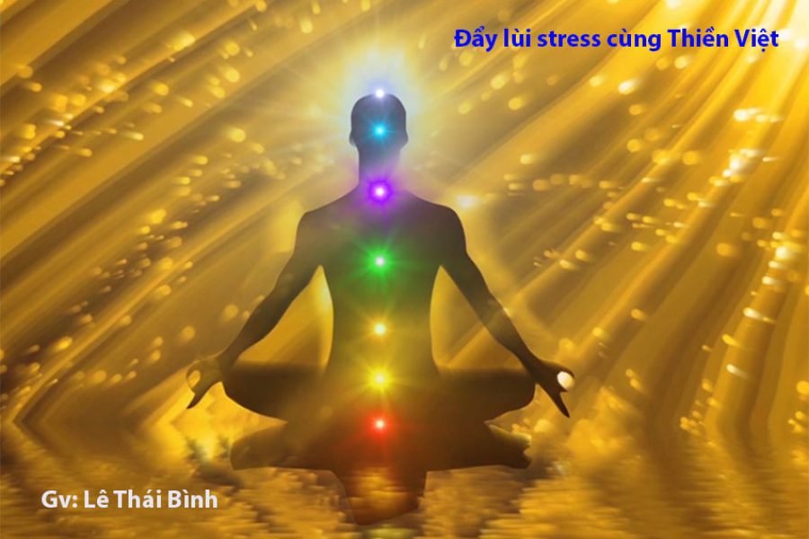 Đẩy lùi stress cùng Thiền Việt